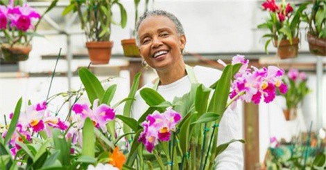 Làm việc sau nghỉ hưu mang lại 7 lợi ích tuyệt vời