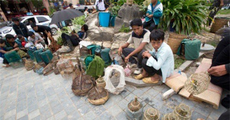 Ngắm phiên chợ bán những “nghệ sĩ rừng xanh” nơi phố núi