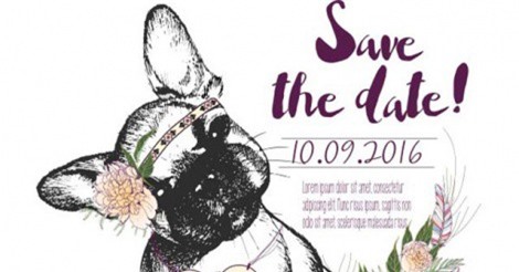 Ý tưởng trang trí hôn lễ cho cặp yêu thú cưng