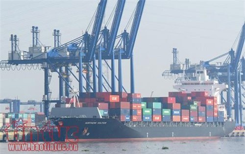 'Dở khóc dở cười' với hàng ngàn container phế liệu nằm cảng