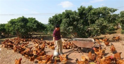 Giải mã để thương hiệu thực phẩm vươn xa 