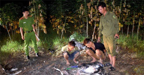 Quảng Nam: Từ một đám cháy, lộ nhóm đối tượng chuyên cắt trộm cáp viễn thông