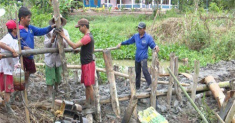 Hàng ngàn ha lúa bị đe dọa khi lũ về sớm
