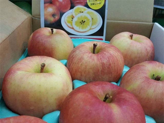 Táo mật Nhật có gì "hot" mà giá 800.000 đồng/kg vẫn được đại gia Việt săn lùng?
