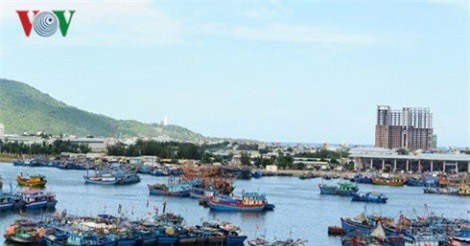 Xăng dầu tăng giá, sản lượng đánh bắt giảm khiến ngư dân lỗ nặng