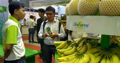 Chuối Đồng Nai lại rớt giá