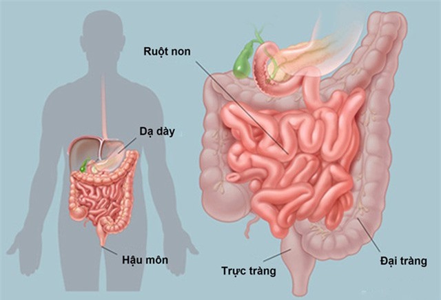 6 điều cần biết để tránh ung thư đường tiêu hóa