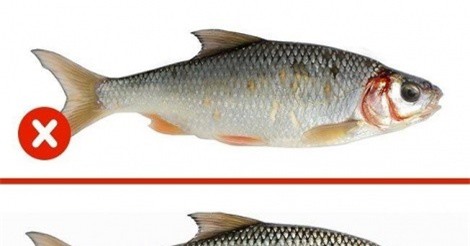 Cách nhận biết thực phẩm an toàn, không bị nhiễm độc