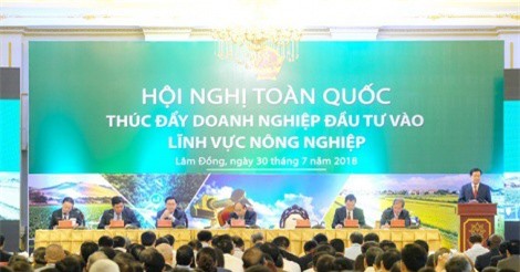 Cần nhiều giải pháp để thúc đẩy doanh nghiệp đầu tư vào nông nghiệp