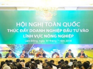 Cần nhiều giải pháp để thúc đẩy doanh nghiệp đầu tư vào nông nghiệp