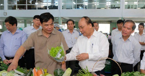 Thủ tướng: Xoài Sơn La đâu kém xoài Nhật, hoa quả Việt ngon thua gì Thái Lan!