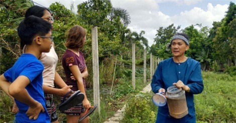 Vườn hữu cơ hút khách