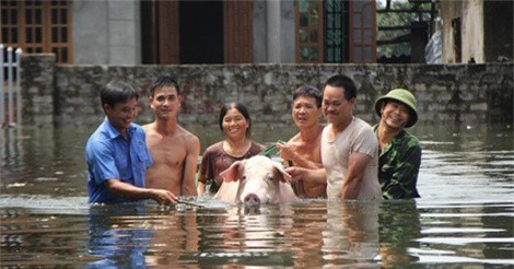 Dự báo thời tiết 31/7: Hà Nội tiếp tục mưa, ngoại thành ngập lụt kéo dài