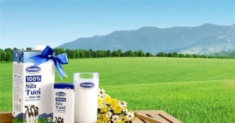 Vinamilk lãi ròng 2.666 tỷ đồng trong quý 2, mỗi ngày chi hơn 4 tỷ đồng cho quảng cáo