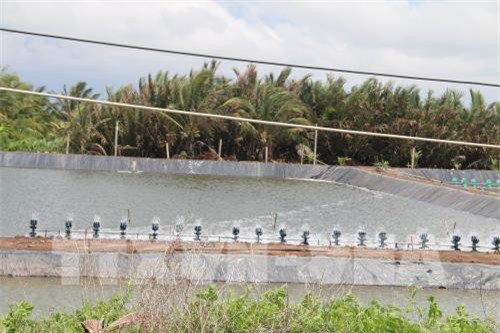 Đánh thức tiềm năng nuôi trồng thủy sản ven biển Gò Công