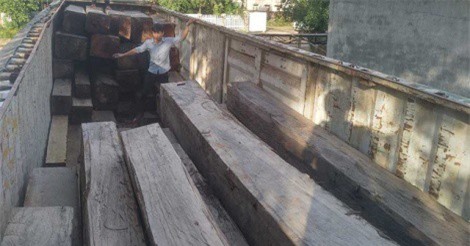 Vụ bắt giữ xe gỗ “khủng” ở Gia Lai: Khởi tố Phó Giám đốc công ty sở hữu gỗ