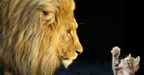 3 lời khuyên để công ty khởi nghiệp trở nên nổi bật giữa những gã khổng lồ