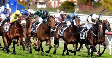 Trường đua trăm triệu USD Phú Yên: Đề xuất được “cá cược” đua ngựa, đua chó