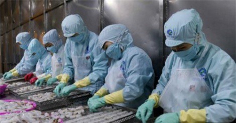 Dự báo xuất khẩu thủy sản quý III tăng 13%