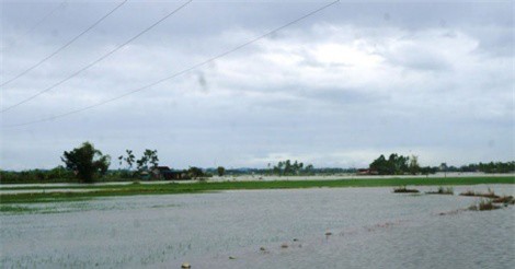 Nghệ An: Đề xuất hỗ trợ khẩn cấp hơn 280 tỷ đồng để khắc phục hậu quả bão số 3 và mưa lũ