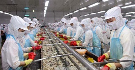 Xuất khẩu tôm sang Mỹ đối mặt với nhiều thách thức