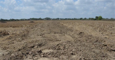 Cà Mau: Nâng mức kỷ luật đối với cán bộ buông lỏng quản lý đất