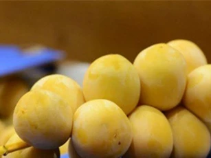 Giật mình với giá chà là tươi nguyên cành tại Việt Nam