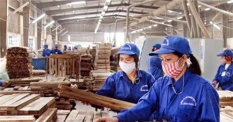 Gỗ Trường Thành bị phạt 60 triệu đồng