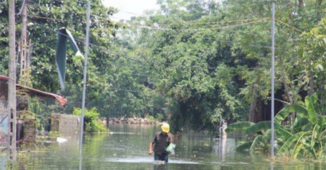 Sở Y tế Hà Nội tăng cường công tác y tế, phòng chống dịch bệnh tại vùng ngập úng