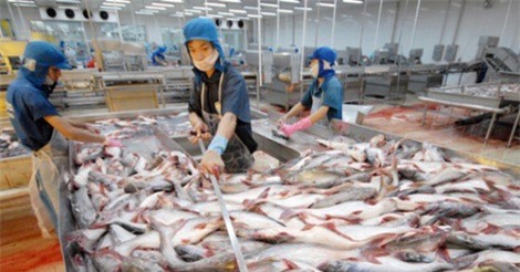 Vợ con đại gia phân phối ôtô Ford bán tháo cổ phiếu