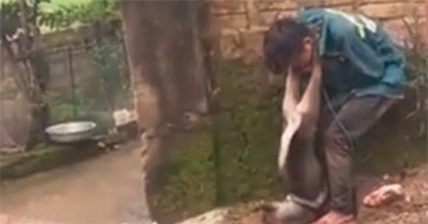 Thanh Hóa: "Cẩu tặc" bị người dân đánh trói, treo chó vào cổ