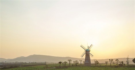 Vinamilk có tên trong 54 danh mục, dự án cho Hội nghị xúc tiến đầu tư năm 2018 của Cần Thơ