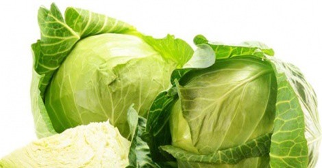 Ăn bắp cải hằng ngày giúp phòng nhiều bệnh