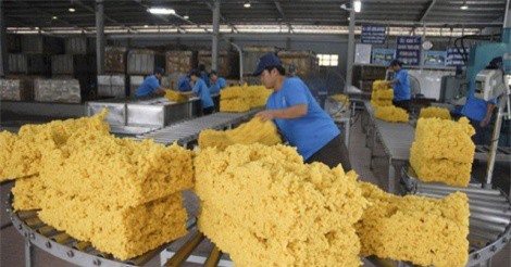 Cao su rớt giá vì cuộc chiến thương mại Mỹ - Trung