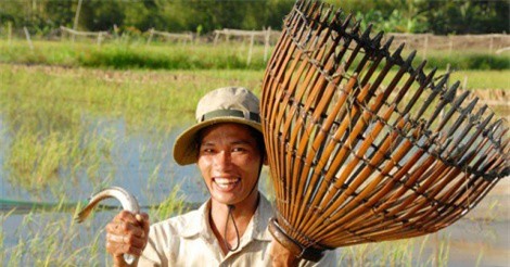 ĐBSCL: Dự báo có mùa lũ đẹp, mang theo tôm cá, sản vật