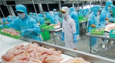 Doanh nghiệp thủy sản tìm thị trường xuất khẩu mới