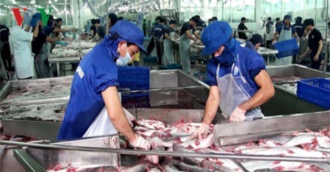 Kinh tế khu vực Đồng bằng sông Cửu Long có nhiều khởi sắc