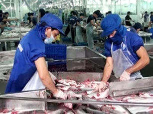 Kinh tế khu vực Đồng bằng sông Cửu Long có nhiều khởi sắc