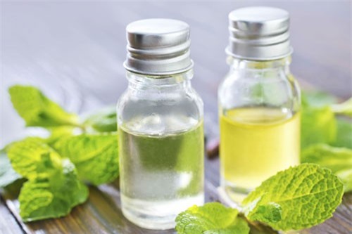 4 mẹo đuổi chuột tự nhiên không dùng thuốc