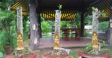 Chiêm ngưỡng siêu phẩm Phúc Lộc Thọ được dát vàng trên thân cây