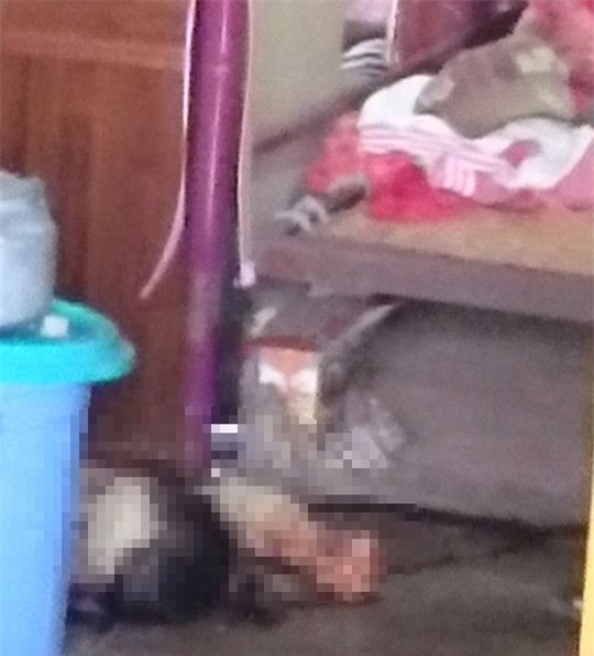 Vụ thảm án tại Long An: Những tình tiết đáng chú ý