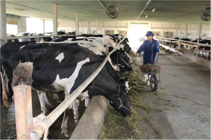 Hà Tĩnh: Đảng bộ xã Thường Nga lãnh đạo nhân dân đoàn kết xây dựng nông thôn mới