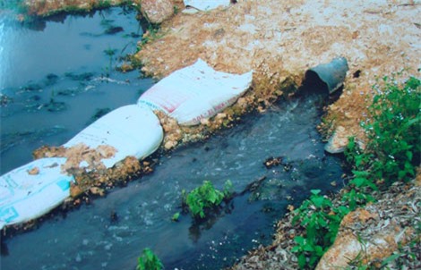 Bình Dương: Suối Bến Ván ô nhiễm trầm trọng