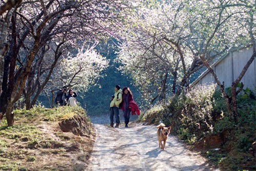 Dự báo thời tiết 26/2: Miền Bắc rét đậm, thấp nhất 8oC